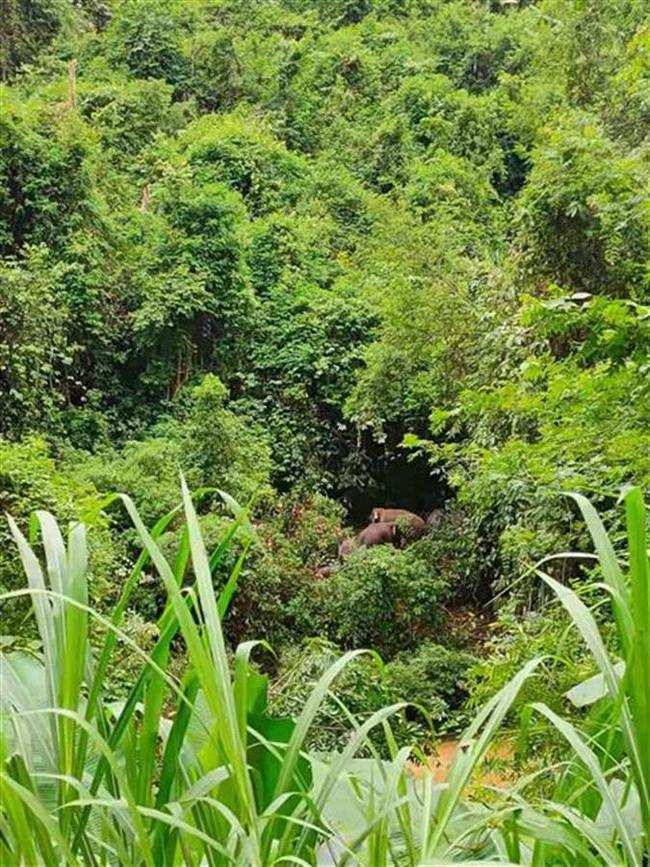 无码AV免费一区二区三区:10-14-17-19-35-37J：44,探索数字背后的娱乐世界，无码AV免费一区二区三区深度解析