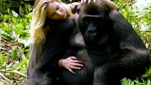 欧美人与动牲交片免费:06-08-26-36-38-49T：26,欧美人与动物交片免费，探索与反思