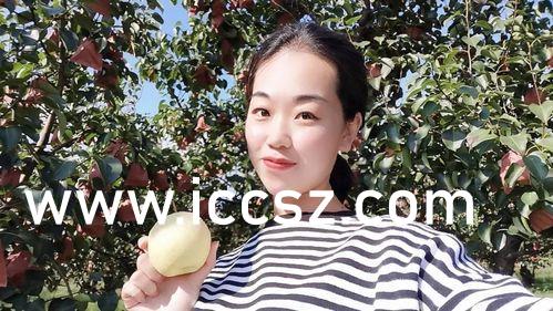 精品国产精品国产偷麻豆:14-24-30-35-43-46D：47,探索精品国产之美，麻豆风尚与尺寸的无限魅力