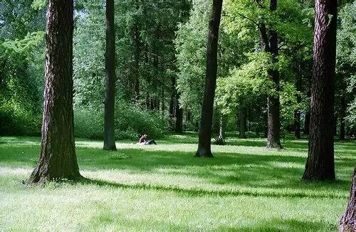 国产精品青草久久久久福利99:07-16-26-35-36-41T：05,国产精品青草福利，深度探索与独特体验