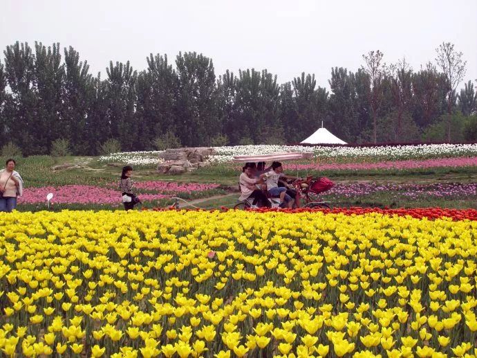 国产精品青草久久久久福利99:07-16-26-35-36-41T：05,国产精品青草福利，深度探索与独特体验