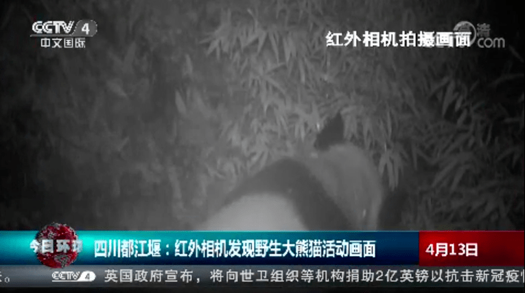 免费在线黄色电影:25-28-39-41-44-45H：14,免费在线黄色电影，深度探讨与警示分析（文章仅供警示教育之用，请勿用于非法用途）