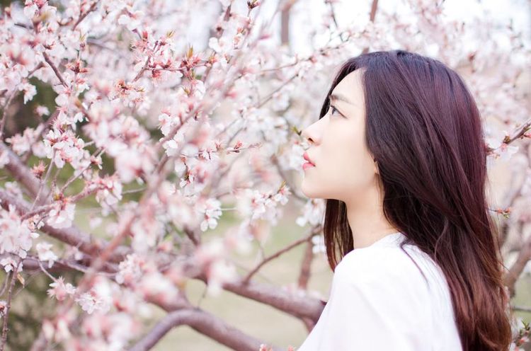 香蕉久久精品日日躁夜夜躁夏:05-16-23-26-30-38V：47,香蕉久久精品，探索优质生活的韵律与节奏