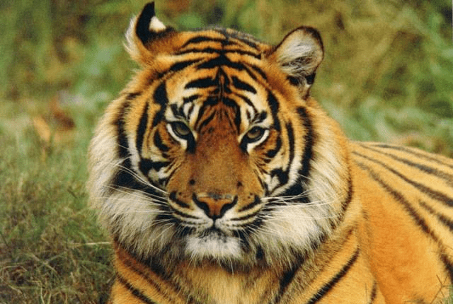 亚洲国产成人精品无码区四虎:01-05-09-21-27-30Q：18,亚洲国产成人精品无码区四虎，探索与赏析（01-05-09-21-27-30Q）