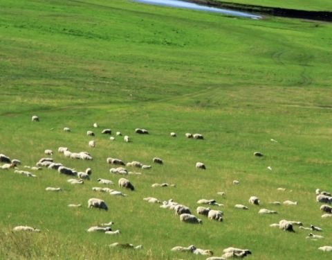 亚洲高清国产拍精品青青草原:01-03-08-16-26-43A:19,青青草原上的高清国产影视精品,探索与赏析(关键词,亚洲高清国产拍精品青青草原: 01-03-08-16-26-43A,19) 亚洲高清国产拍精品青青草原:01-03-08-16-26-43A:19,青青草原上的高清国产影视精品,探索与赏析(关键词,亚洲高清国产拍精品青青草原: 01-03-08-16-26-43A,19)