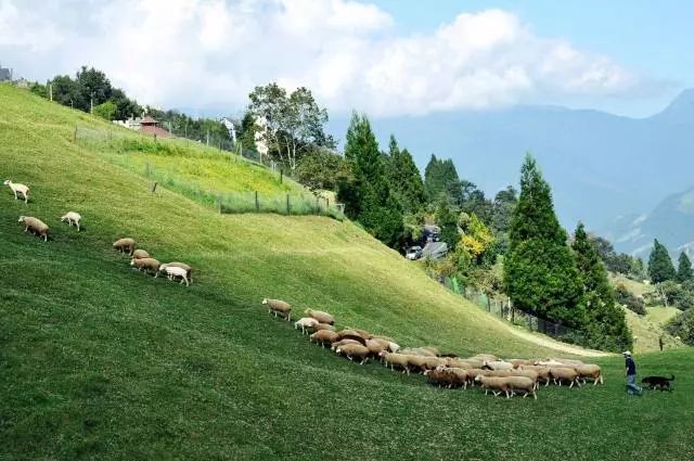 亚洲高清国产拍精品青青草原:01-03-08-16-26-43A：19,青青草原上的高清国产影视精品，探索与赏析（关键词，亚洲高清国产拍精品青青草原: 01-03-08-16-26-43A，19）