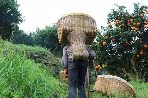 国产乱子伦视频湖北:06-08-13-24-26-27Y:14,国产乱子伦视频与湖北,一场文化与时间的交织 国产乱子伦视频湖北:06-08-13-24-26-27Y:14,国产乱子伦视频与湖北,一场文化与时间的交织