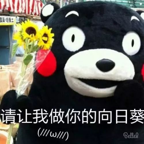久久99精品久久久久久噜噜:09-15-27-44-47-48L：29,久久99精品，探索无尽的魅力世界