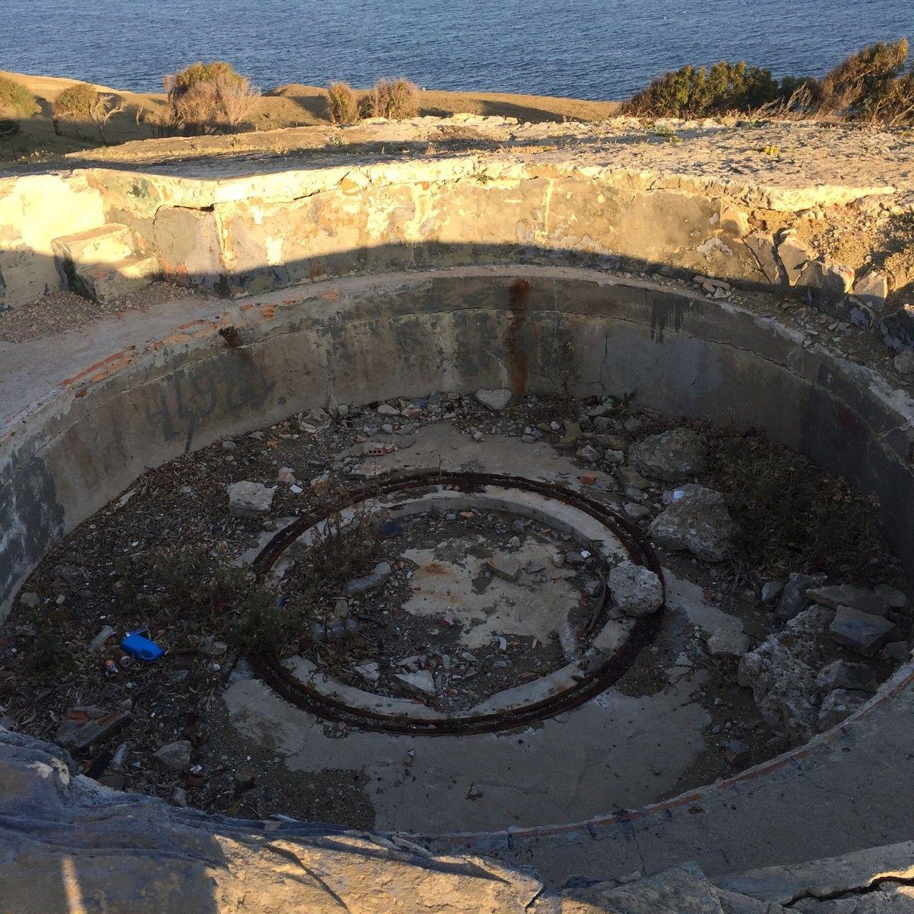 野花社区www在线观看:07-10-13-14-18-20C：41,野花社区www在线观看，一场文化与自然的盛宴