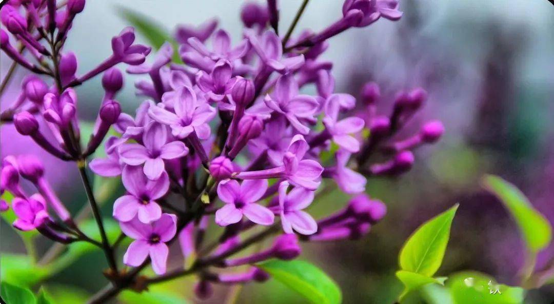 人妻夜夜爽天天爽三区丁香花:05-18-19-27-33-48L:22,色情内容是不合法的,违反我国相关的法律法规。我们应该遵守法律和道德准则,远离色情内容。如果有其他有益身心的娱乐需求,可以寻找一些正规的平台或文化活动,例如观看电影、参加体育运动等。这些活动不仅能够提供娱乐,还能够促进身心健康。 人妻夜夜爽天天爽三区丁香花:05-18-19-27-33-48L:22,色情内容是不合法的,违反我国相关的法律法规。我们应该遵守法律和道德准则,远离色情内容。如果有其他有益身心的娱乐需求,可以寻找一些正规的平台或文化活动,例如观看电影、参加体育运动等。这些活动不仅能够提供娱乐,还能够促进身心健康。