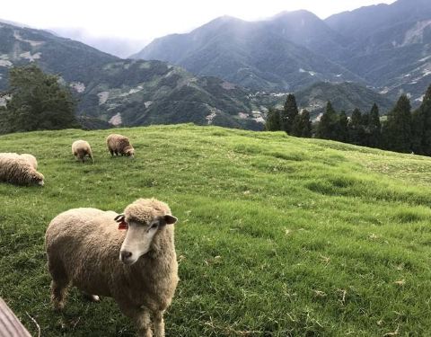 亚洲高清国产拍精品青青草原:04-08-30-37-44-47J：20,青青草原上的高清国产艺术精品——探索亚洲影视产业的新高度
