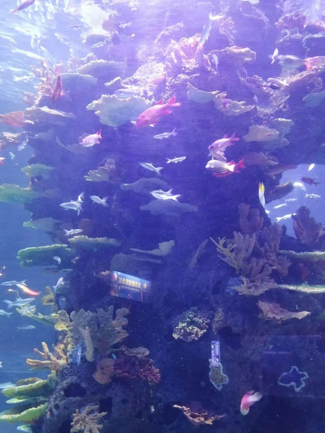 久久综合色老色:03-11-20-31-34-35D：47,久久综合色老色，探索色彩世界的魅力之旅