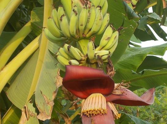 伊人久久大香线蕉无码:15-18-22-32-36-44T：13,伊人久久大香线蕉的艺术魅力与审美价值，探索一种超越尺度的美学