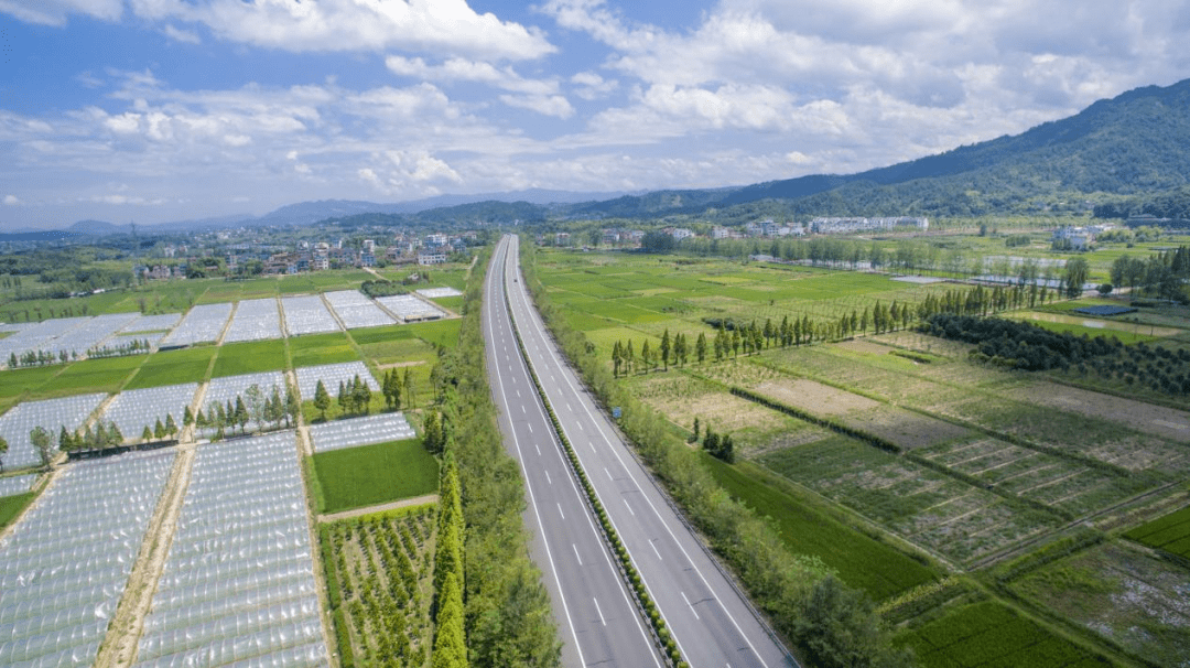 国产又黄又大又粗的视频:04-17-19-34-40-49D:28,国产影视文化的多元探索,从视频内容看时代变迁 国产又黄又大又粗的视频:04-17-19-34-40-49D:28,国产影视文化的多元探索,从视频内容看时代变迁