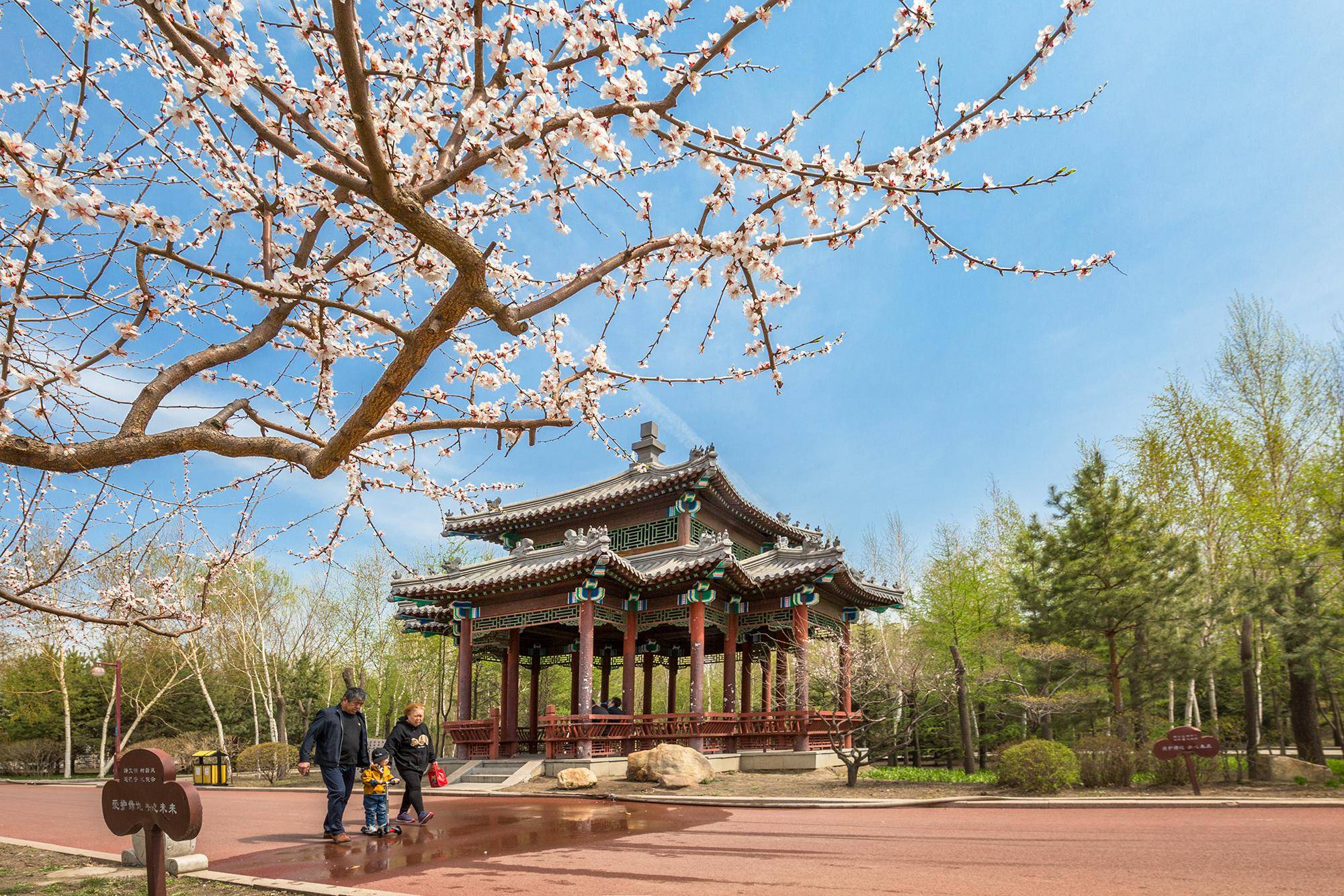 色窝窝免费一区二区三区:06-07-21-27-30-39A:19,探索色窝窝免费一区二区三区,深度解读与体验分享(06-07-21-27-30-39A篇) 色窝窝免费一区二区三区:06-07-21-27-30-39A:19,探索色窝窝免费一区二区三区,深度解读与体验分享(06-07-21-27-30-39A篇)