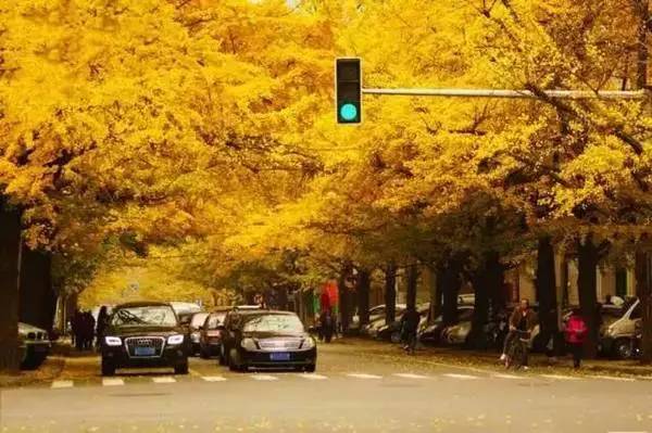 国产亚洲一本大道中文在线:16-27-33-35-43-48X：38,国产亚洲一本大道中文在线，探索与赏析（16-27-33-35-43-48X，38）