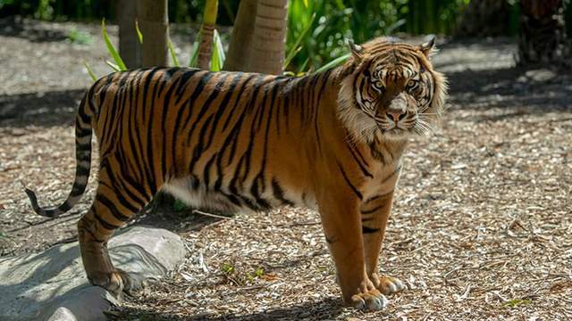 四虎成人精品一区二区免费网站:06-09-19-42-43-49V:31,探索四虎成人精品网站,一区二区的免费内容与独特体验(关键词,成人娱乐、免费网站、四虎精品) 四虎成人精品一区二区免费网站:06-09-19-42-43-49V:31,探索四虎成人精品网站,一区二区的免费内容与独特体验(关键词,成人娱乐、免费网站、四虎精品)